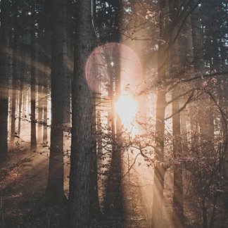 09-cereria-molla-aroma-copia_tf8e-d7