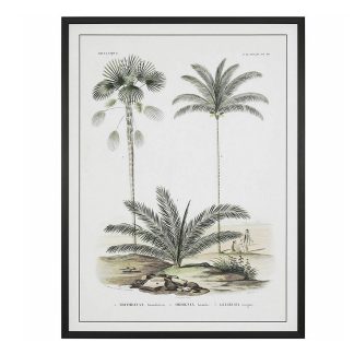 Πίνακας 60x80cm Φοίνικες Τύπωμα σε καμβά Iliadis 76456