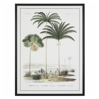 Πίνακας 60x80cm Φοίνικες Τύπωμα σε καμβά Iliadis 76457