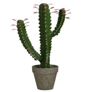 Κάκτος σε γλάστρα pl πράσινος 28x15x46cm InArt 3-85-311-0016