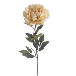 Παιώνια χρώμα "butter" 82cm Zaros 25873 AX818