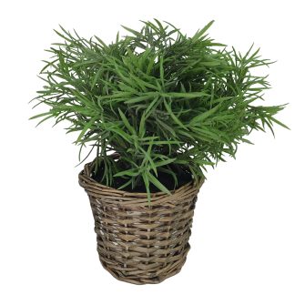 Θαμνώδες φυτό με γλαστράκι rattan 28cm Zaros FL123e