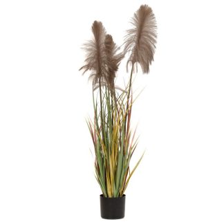 Φυτό pampas καφέ Grass σε μαύρη 15x125cm Iliadis 85070