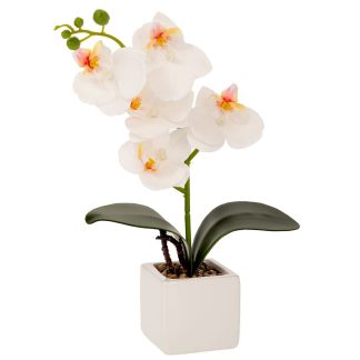 Ορχιδέα λευκή σε κεραμικό λευκό κασπώ 30εκ 6x30cm Iliadis 89991